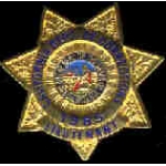 CALIFORNIA DEPARTMENT OF CORRECTIONS LT BADGE PIN